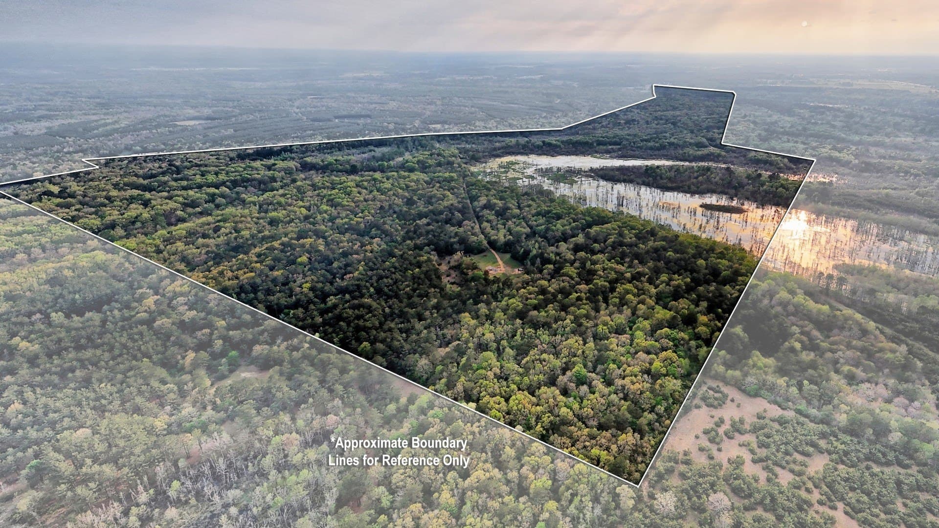 712 acres in Panola County - photo 25