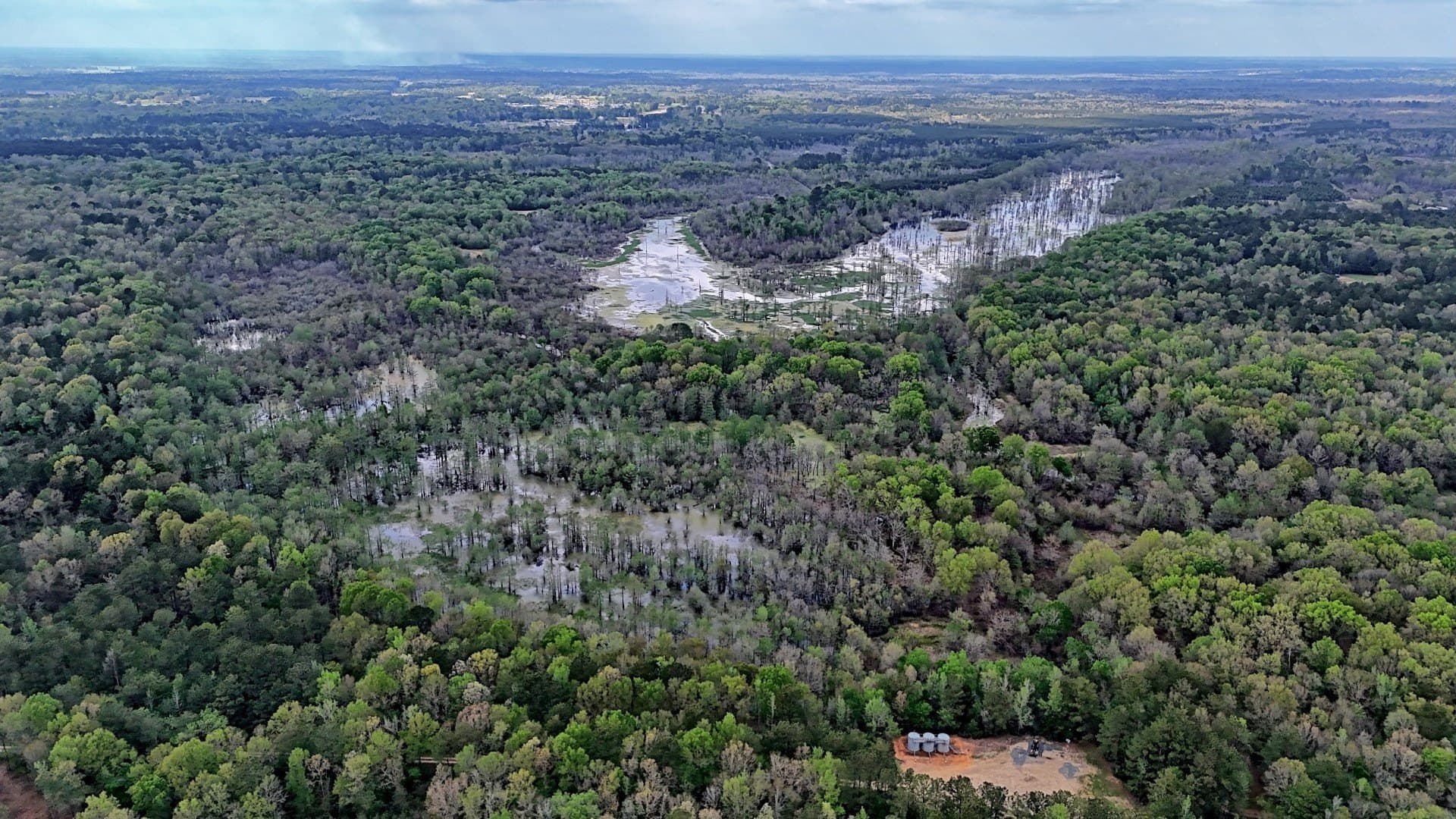 712 acres in Panola County - photo 26