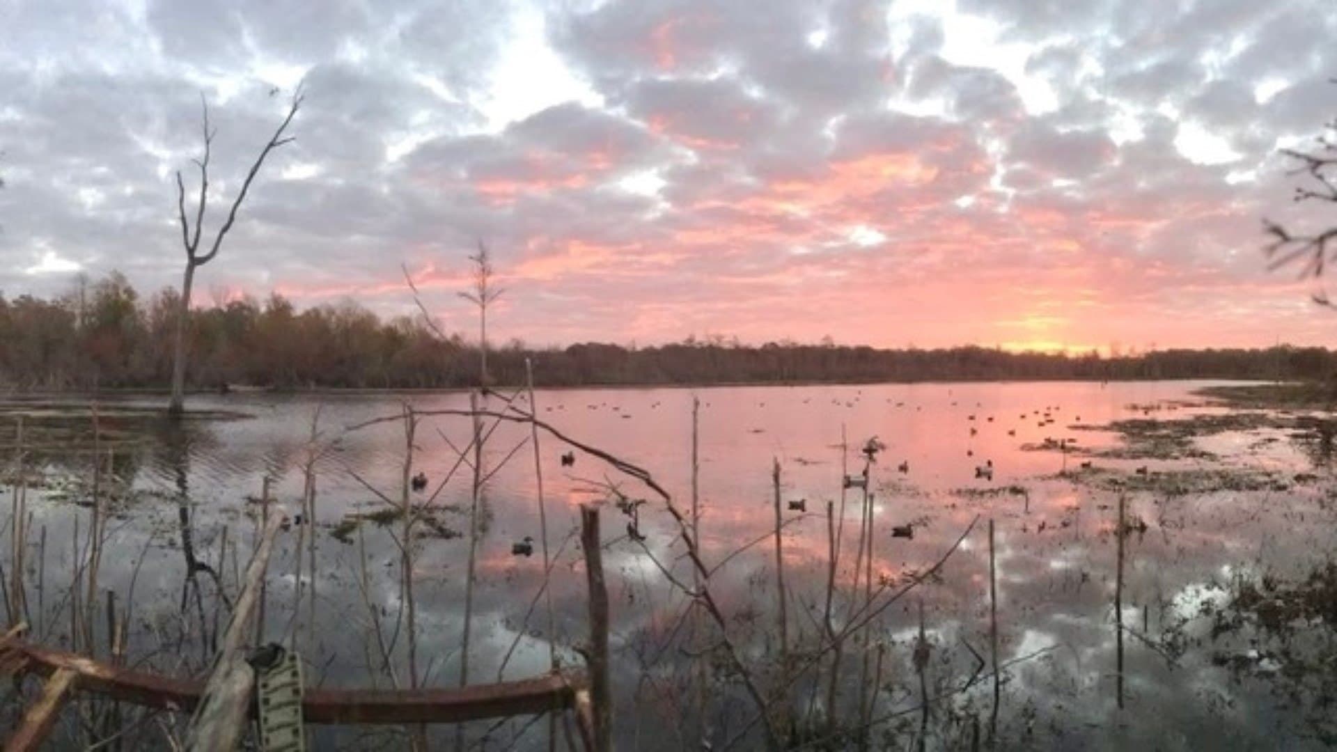 712 acres in Panola County - photo 33