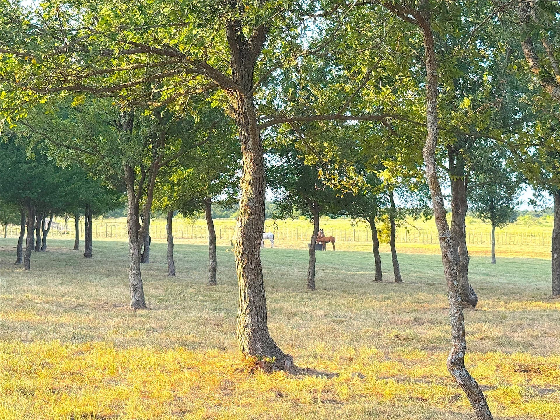 42 acres in Palo Pinto County - photo 20