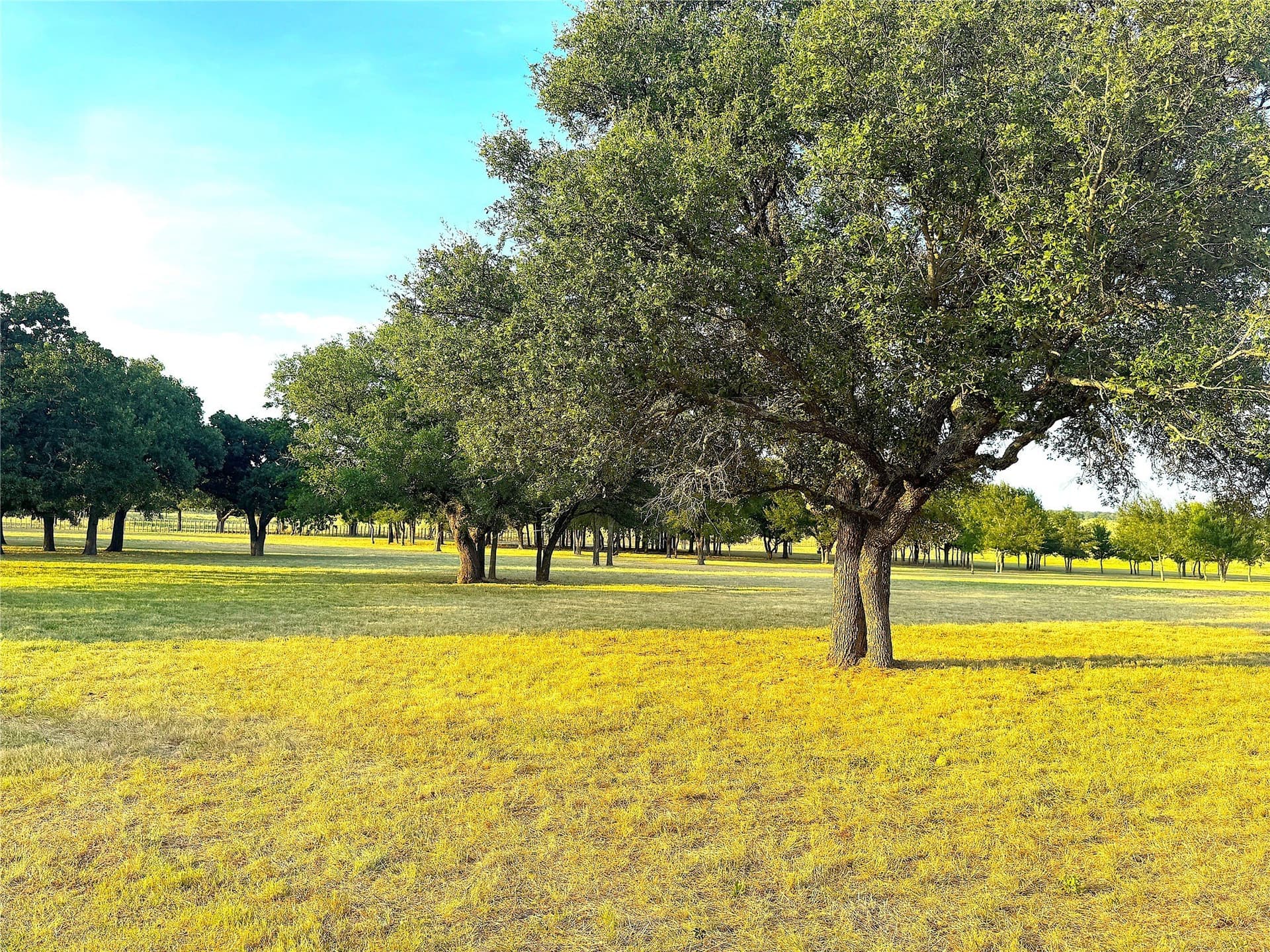 42 acres in Palo Pinto County - photo 22