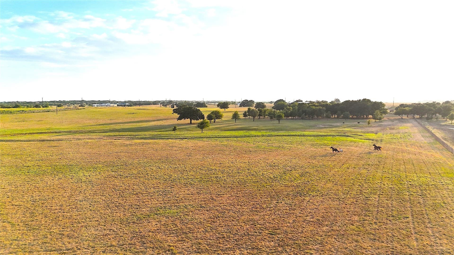 42 acres in Palo Pinto County - photo 10