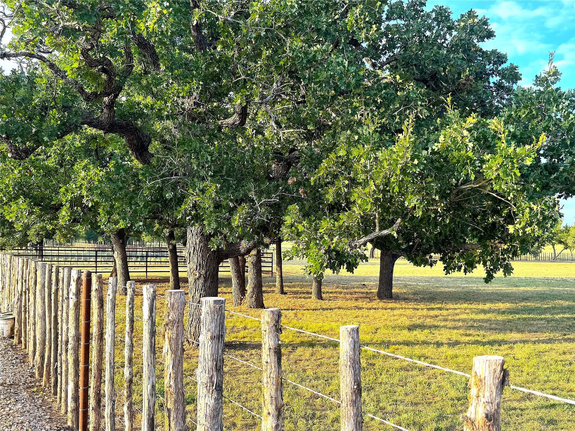 42 acres in Palo Pinto County - photo 32