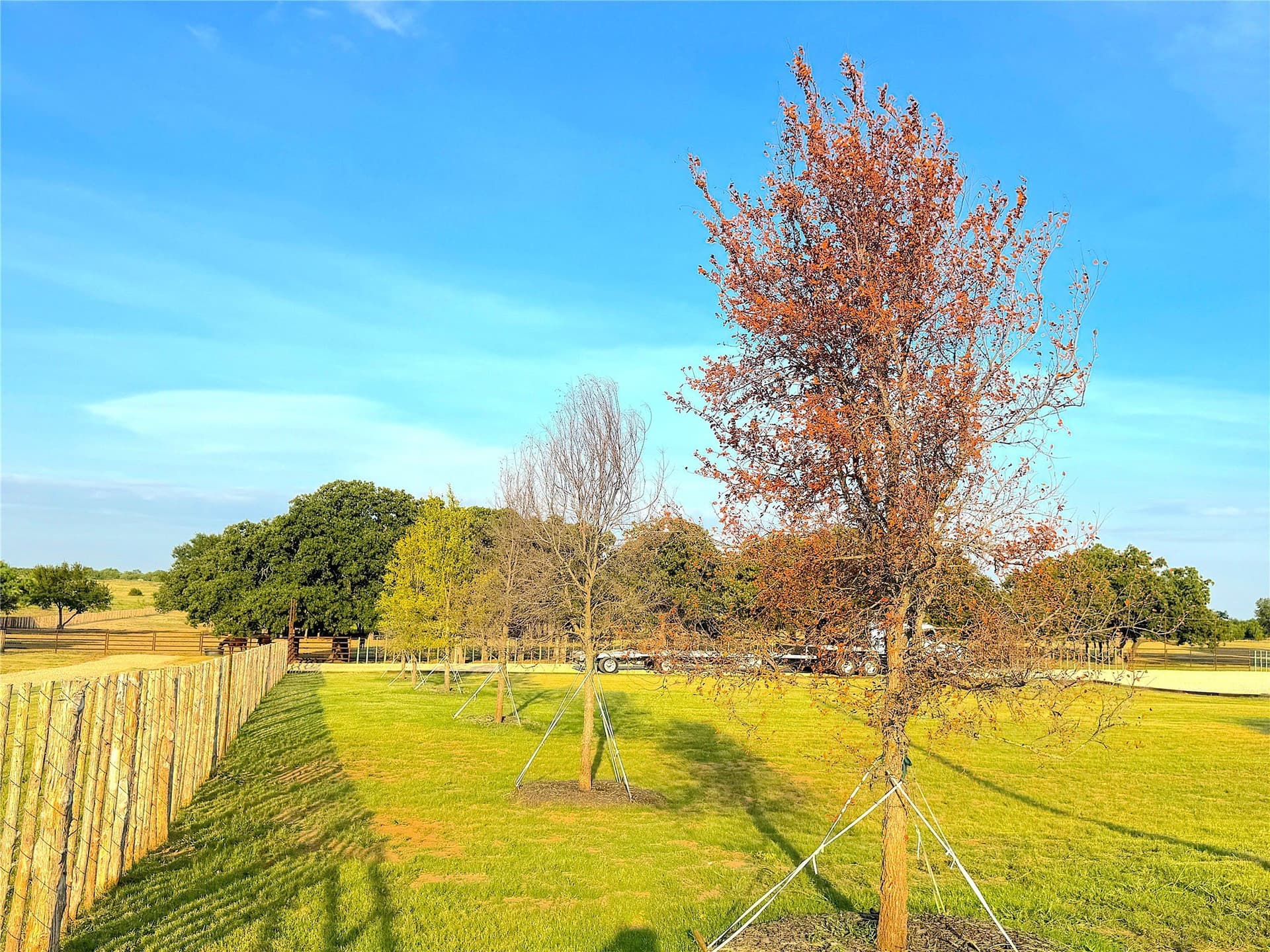 42 acres in Palo Pinto County - photo 9