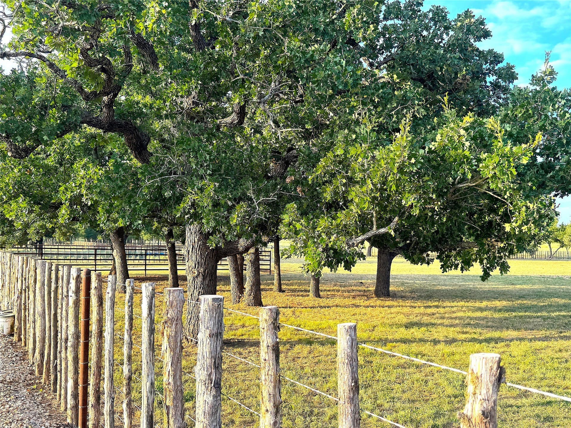 42 acres in Palo Pinto County - photo 2