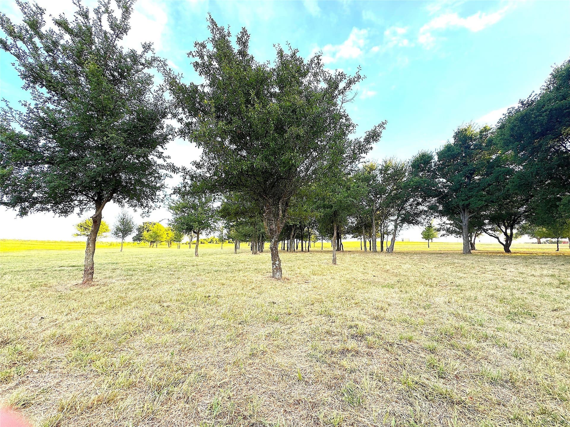 42 acres in Palo Pinto County - photo 28