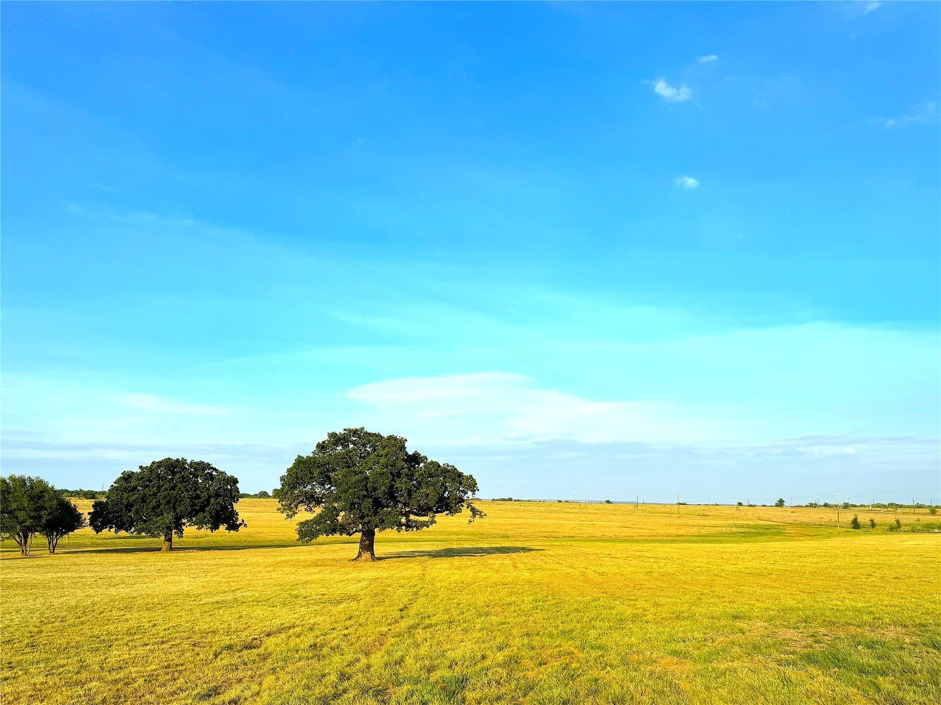 42 acres in Palo Pinto County - photo 38