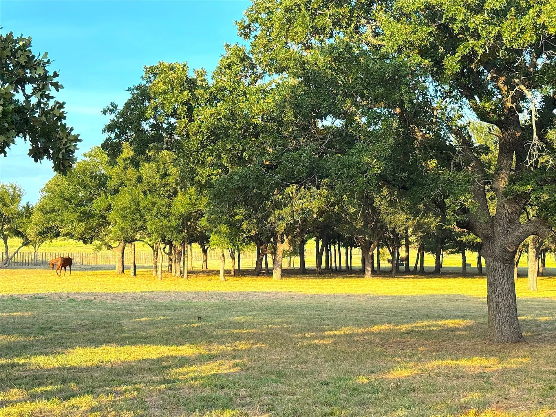 42 acres in Palo Pinto County - photo 18