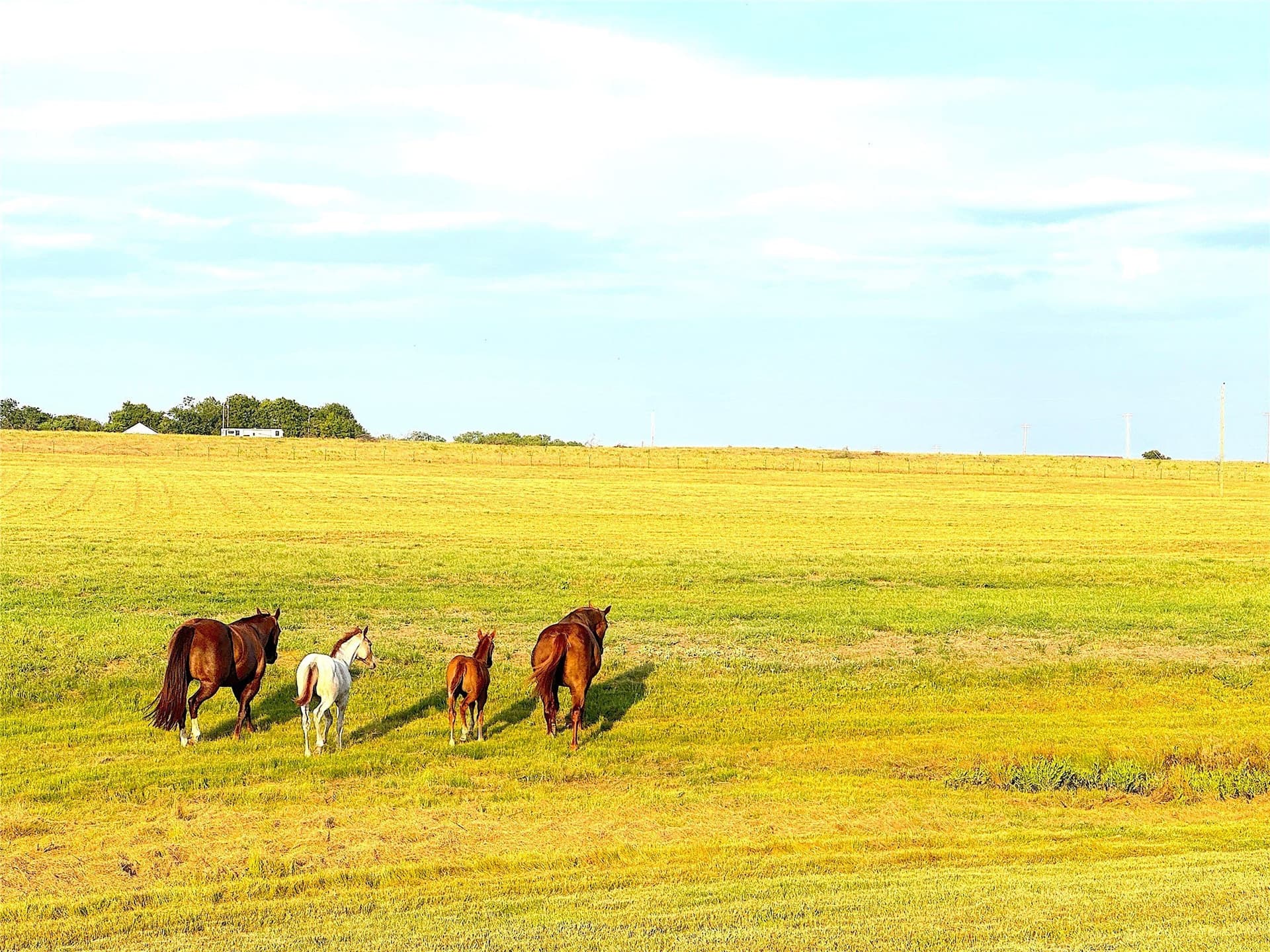 42 acres in Palo Pinto County - photo 4