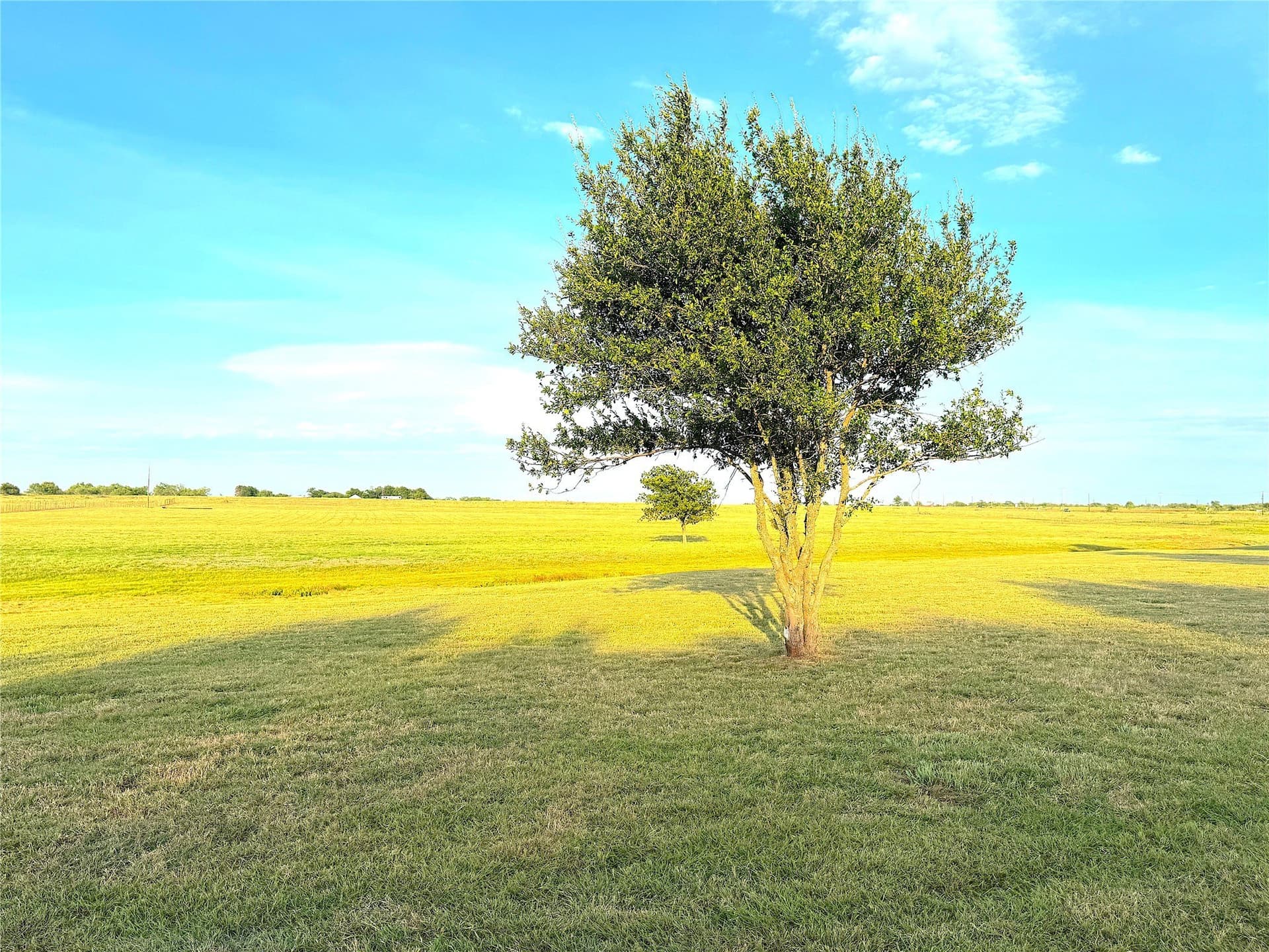 42 acres in Palo Pinto County - photo 35