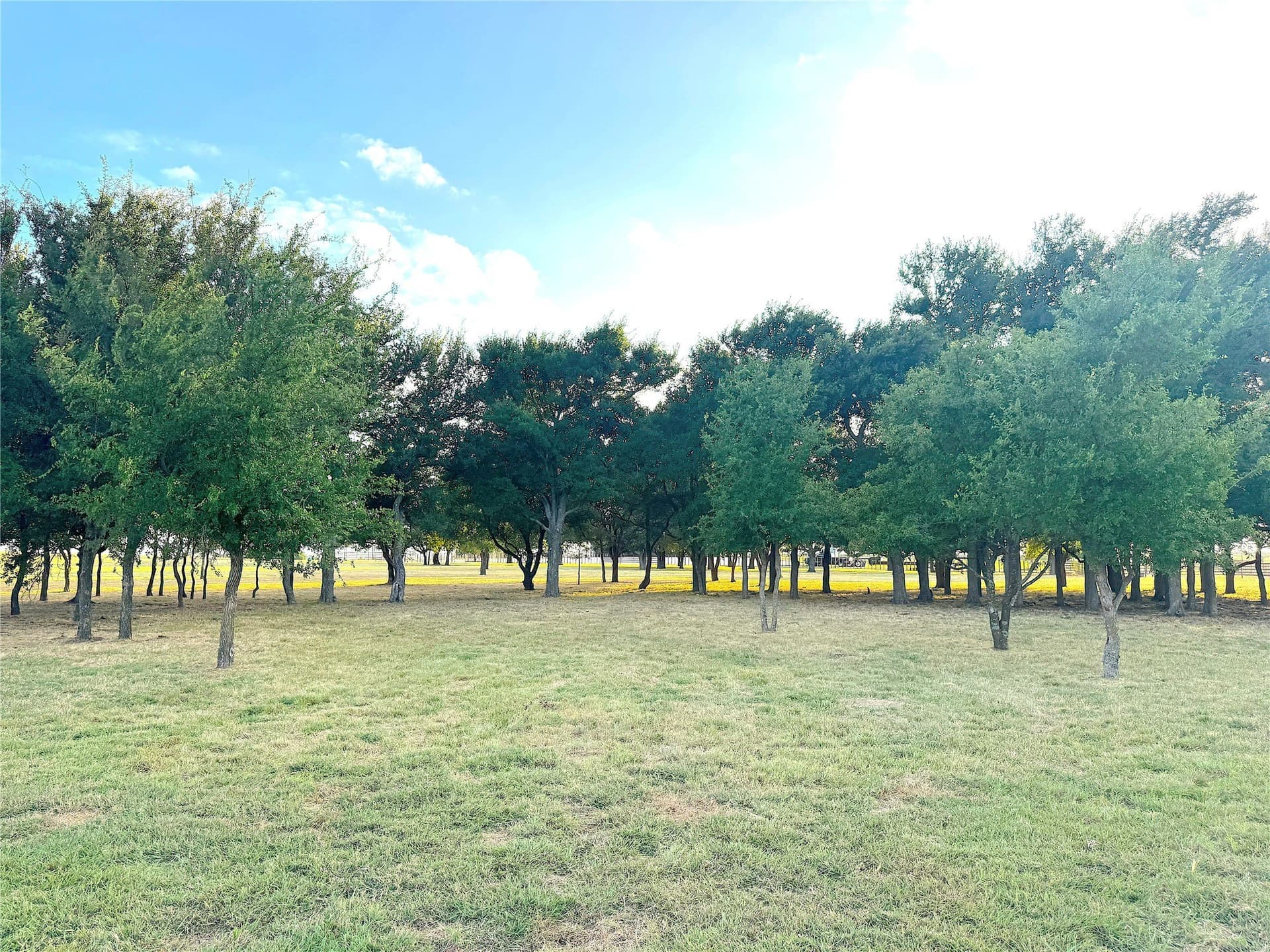 42 acres in Palo Pinto County - photo 26