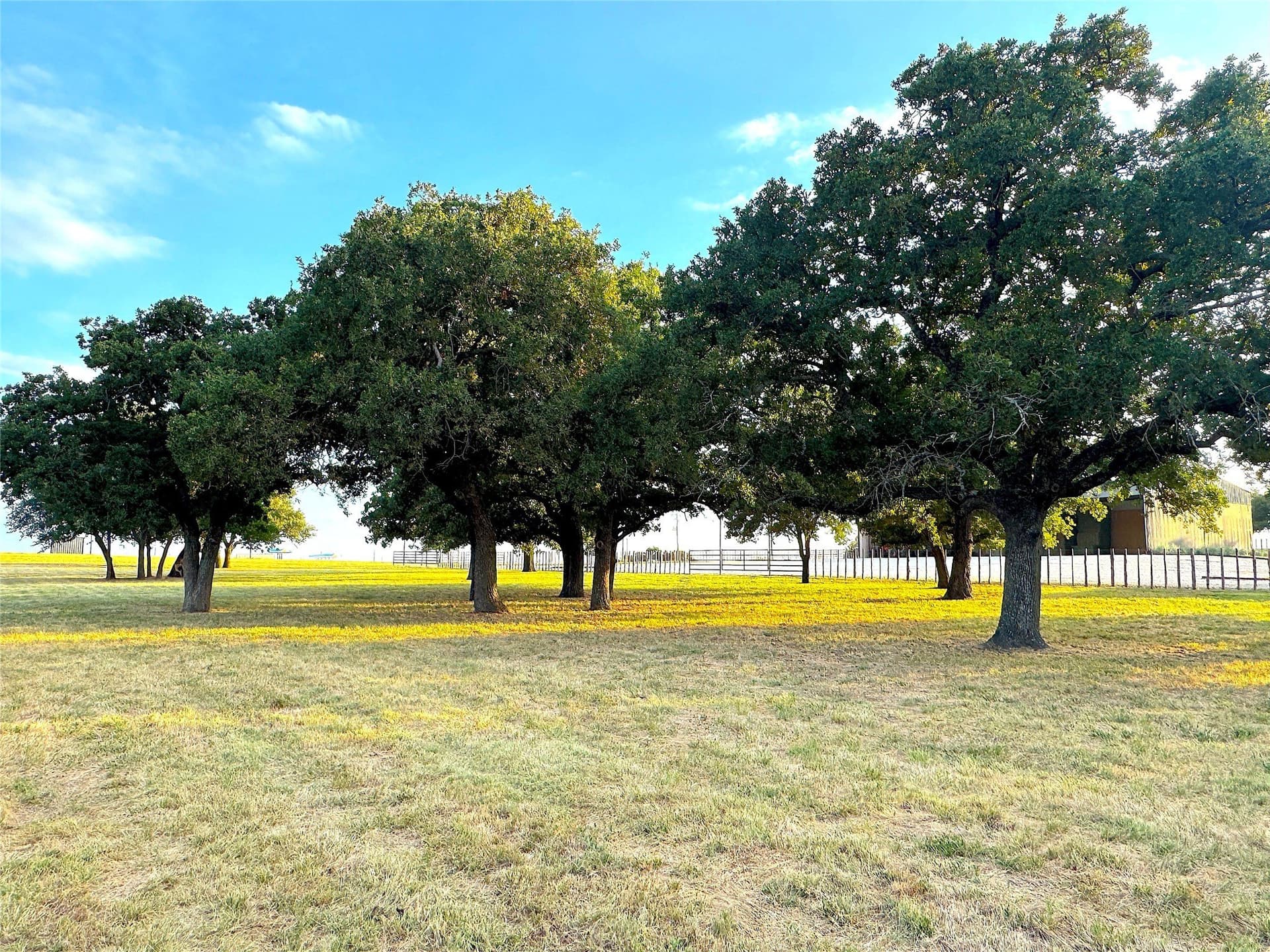 42 acres in Palo Pinto County - photo 33