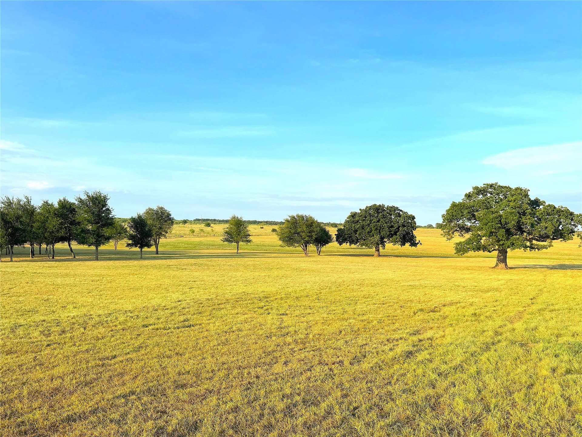 42 acres in Palo Pinto County - photo 36