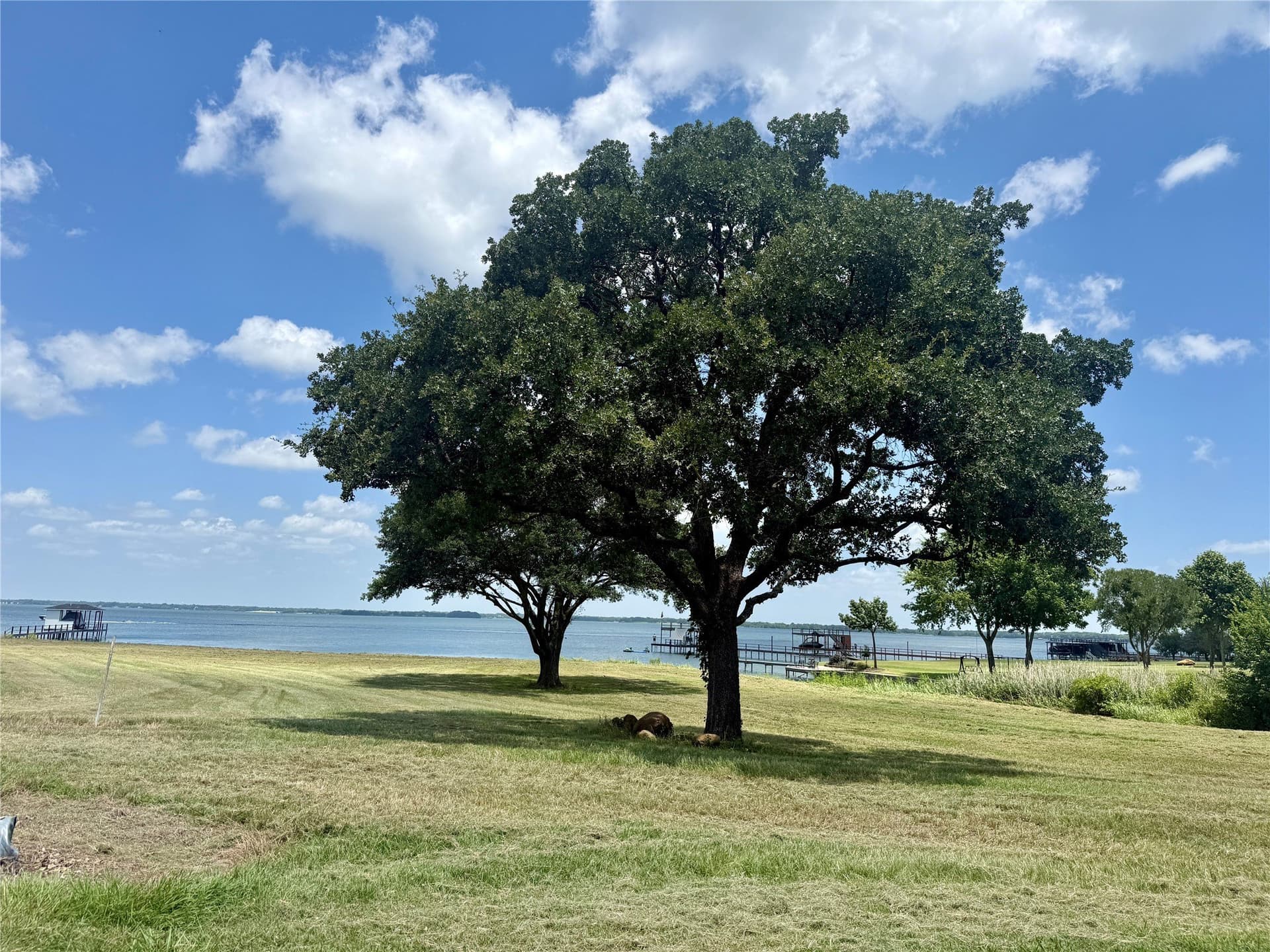 1.01 acres in Navarro County - photo 28