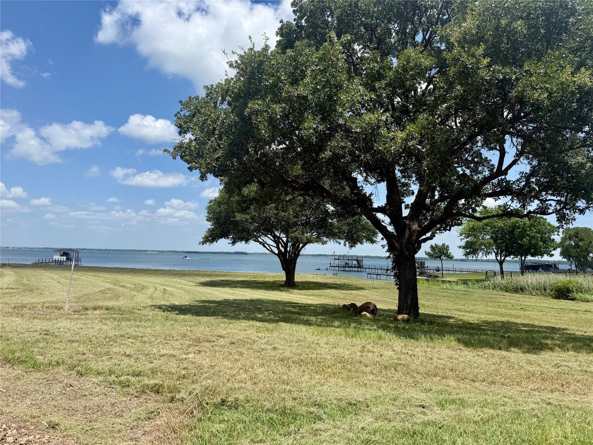 1.01 acres in Navarro County - photo 7