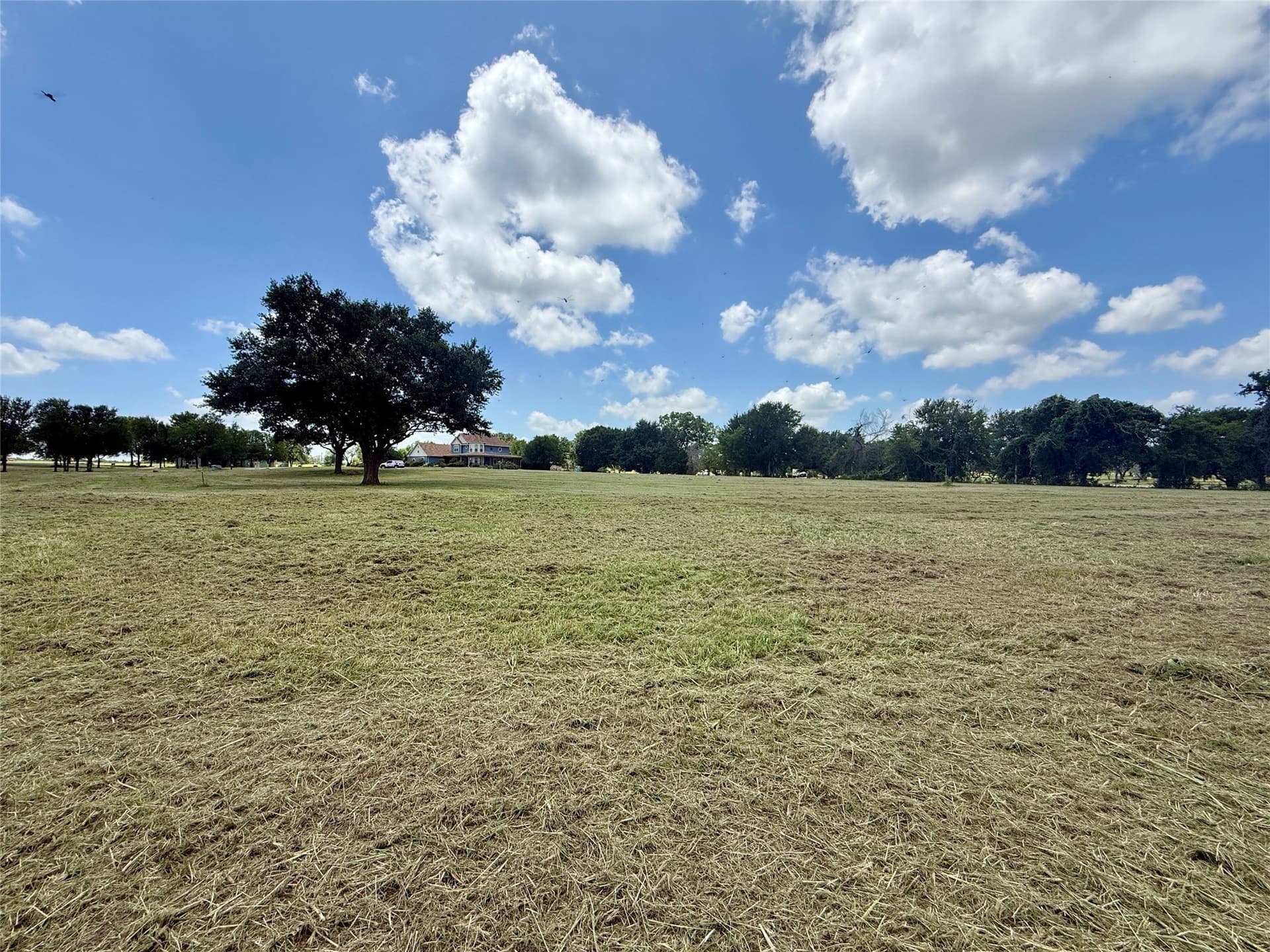 1.01 acres in Navarro County - photo 8