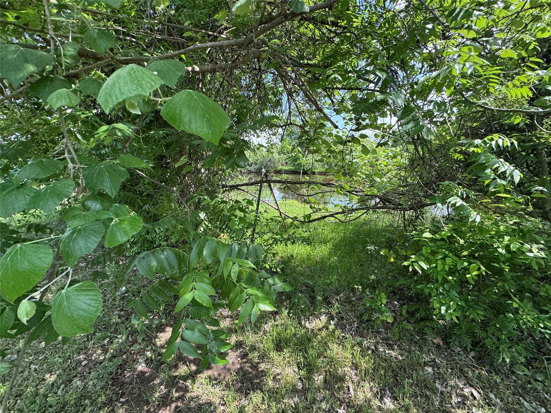 6.12 acres in Wise County - photo 19