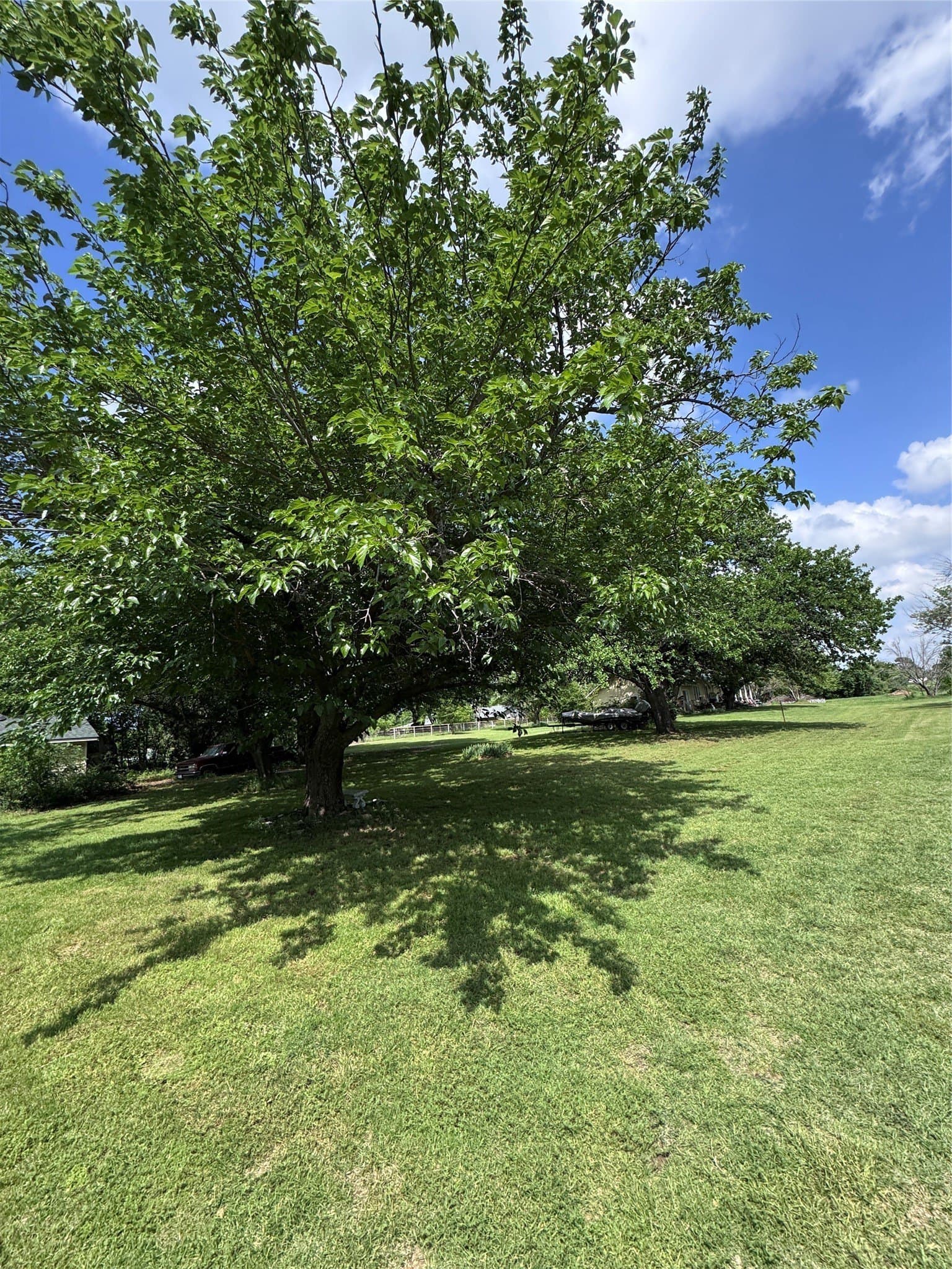 6.12 acres in Wise County - photo 6