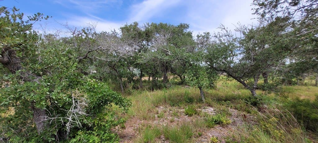 0 acres in Texas County gallery image 4
