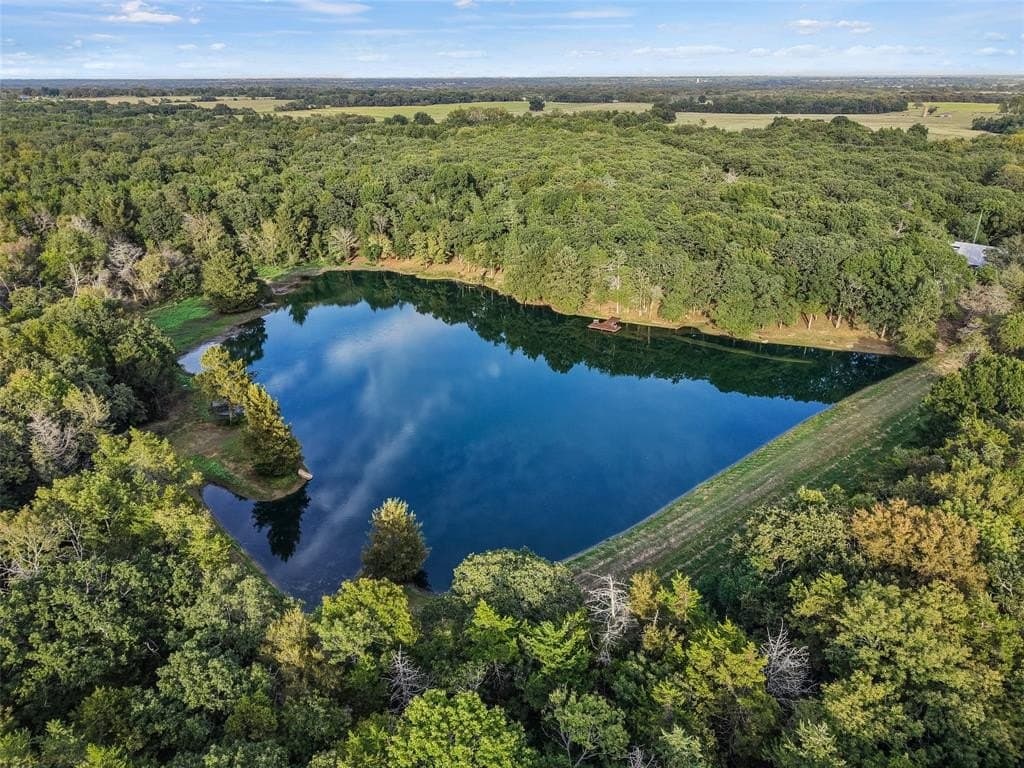41.64 acres in Grayson County gallery image 2