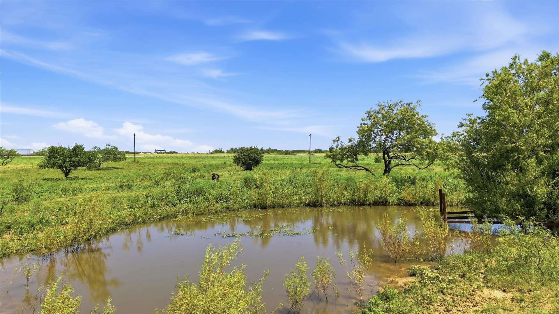 5.93 acres in Grayson County - photo 21