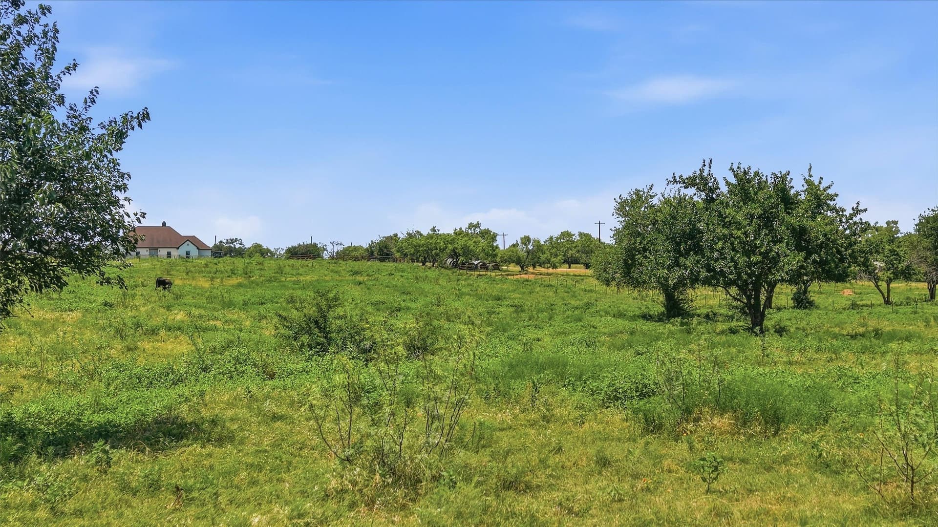 5.93 acres in Grayson County - photo 25