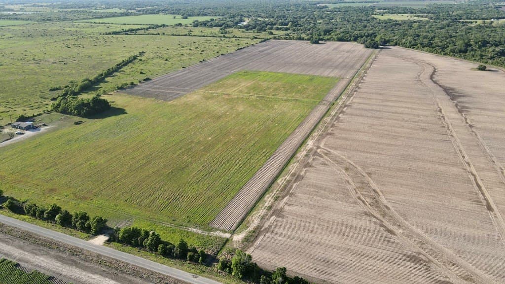 10.18 acres in Blessing Area County gallery image 4