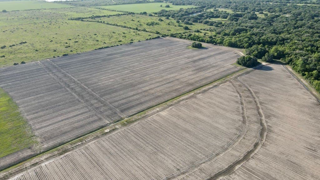 10.18 acres in Blessing Area County featured view