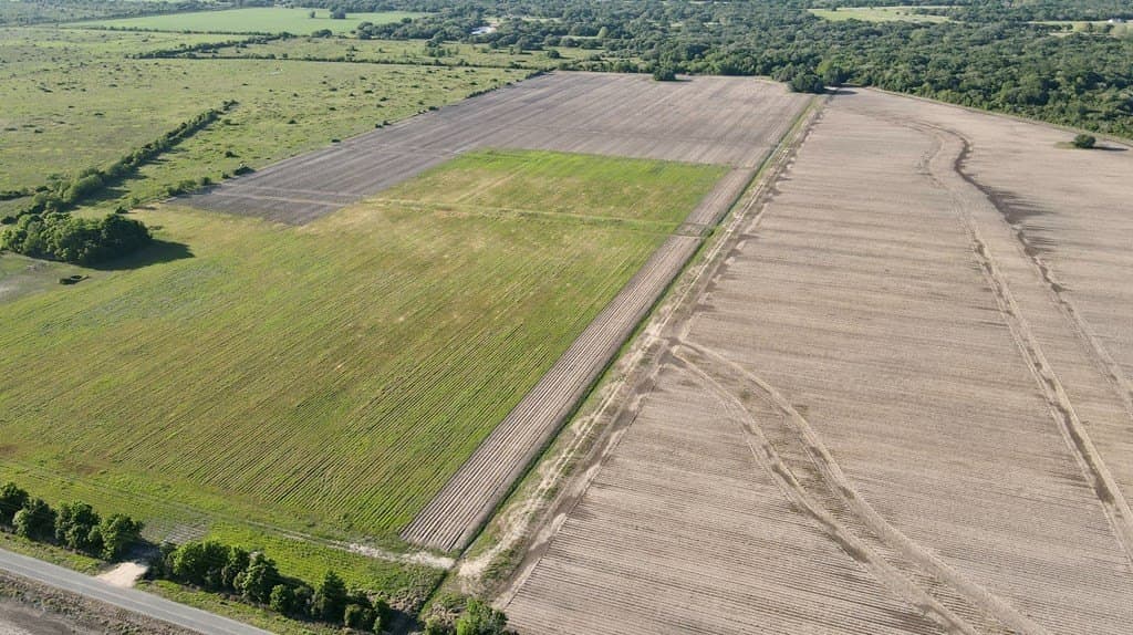 10.18 acres in Blessing Area County - photo 10