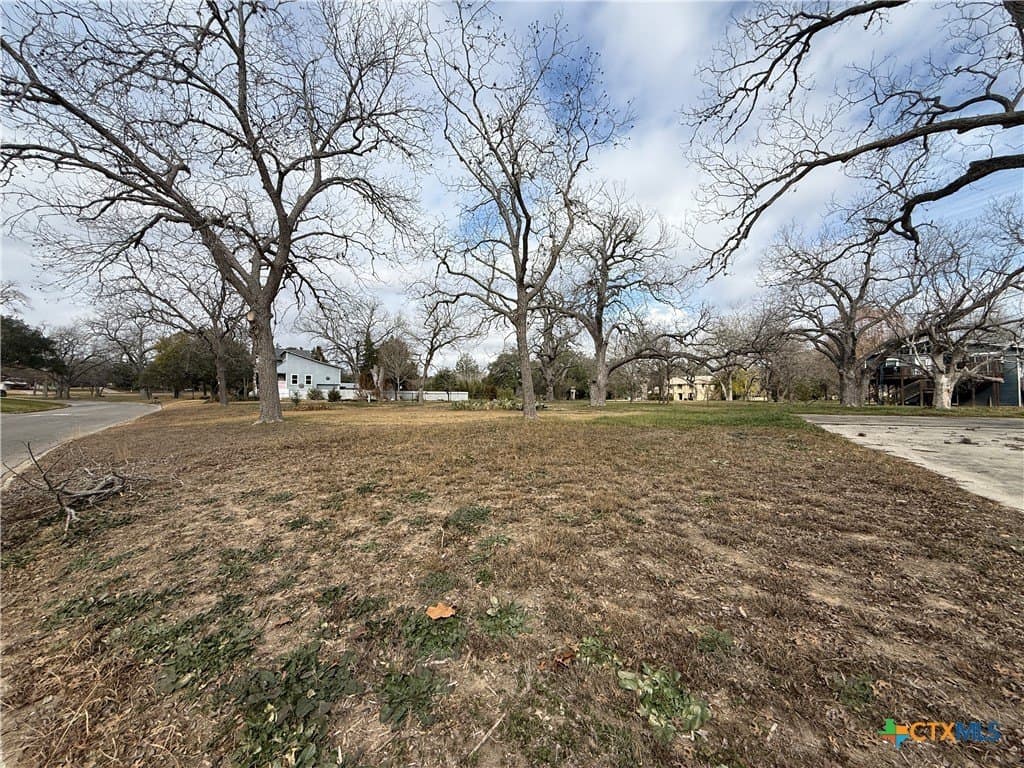 0.27 acres in Guadalupe County - photo 4