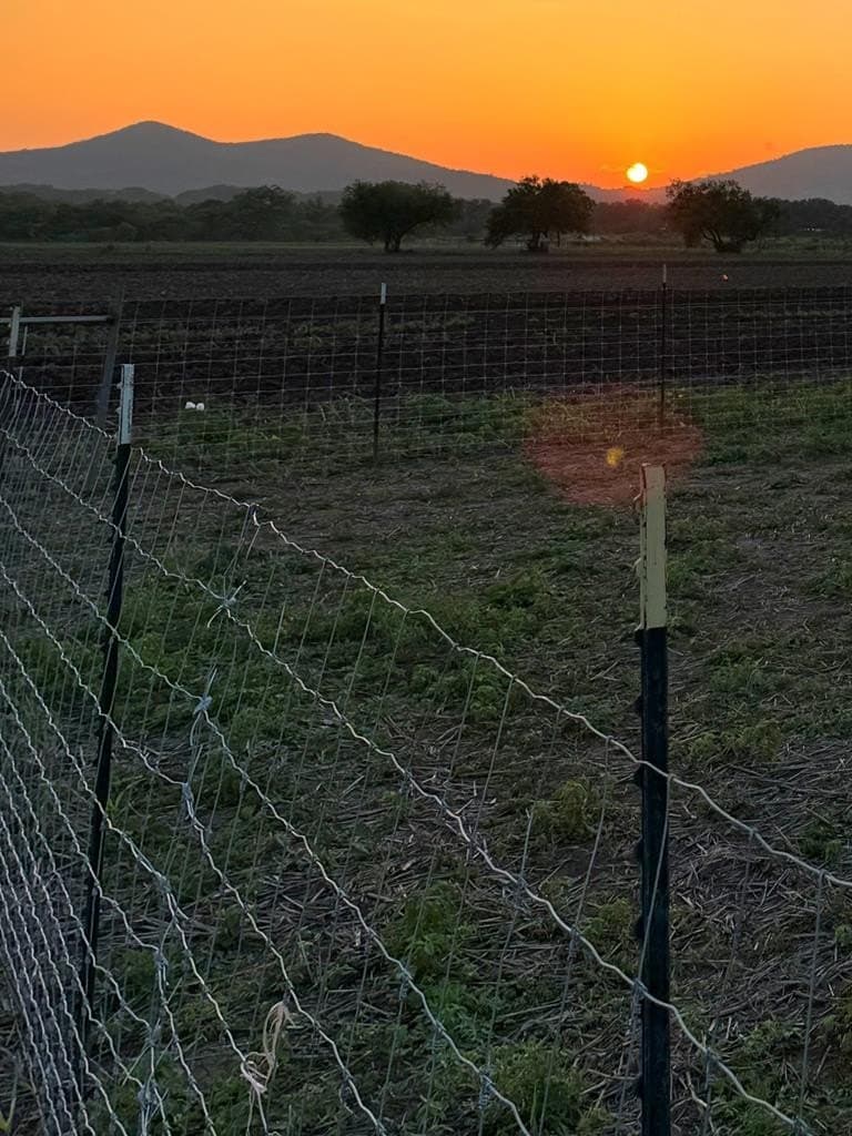 10.31 acres in Bandera County - photo 28