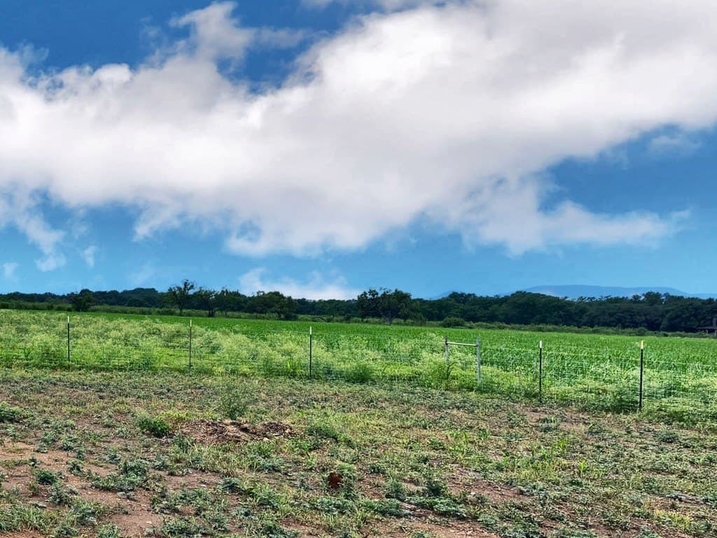 10.31 acres in Bandera County - photo 24