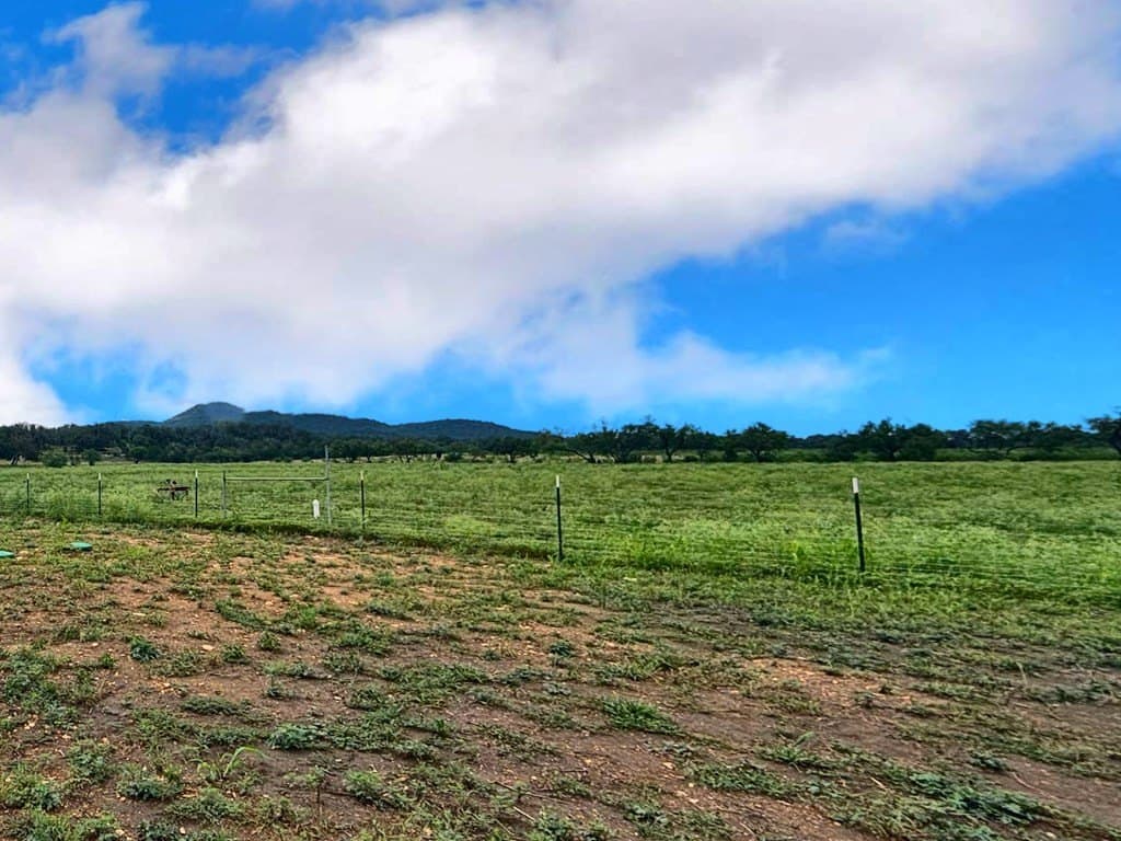 10.31 acres in Bandera County - photo 26