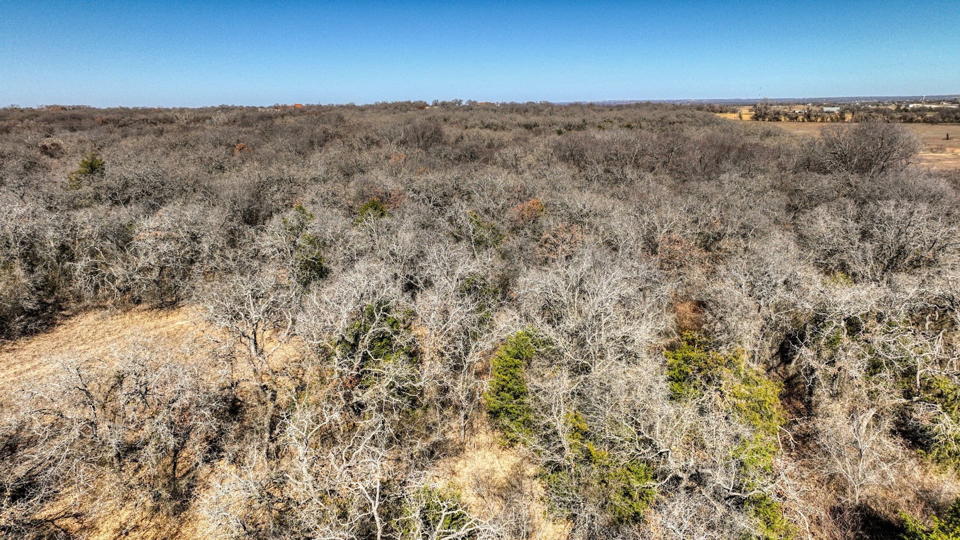 29.19 acres in Wise County - photo 15