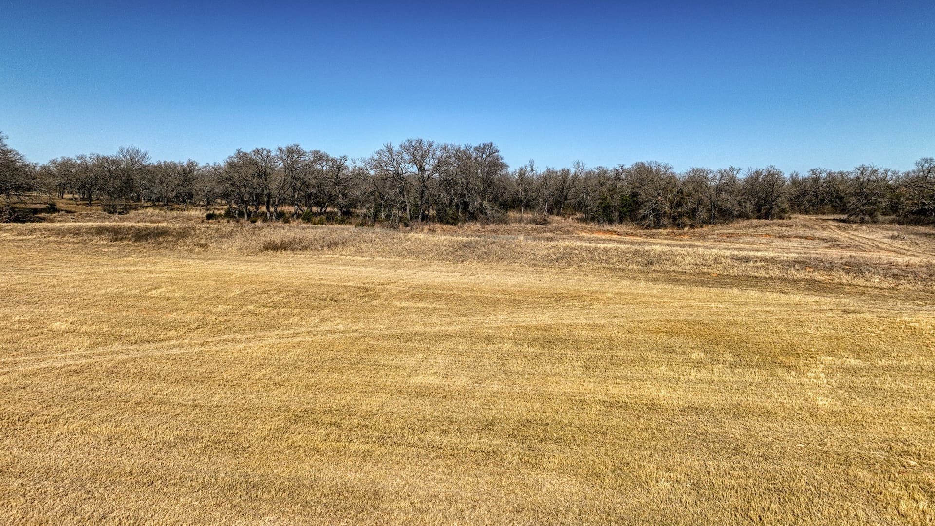 29.19 acres in Wise County gallery image 3
