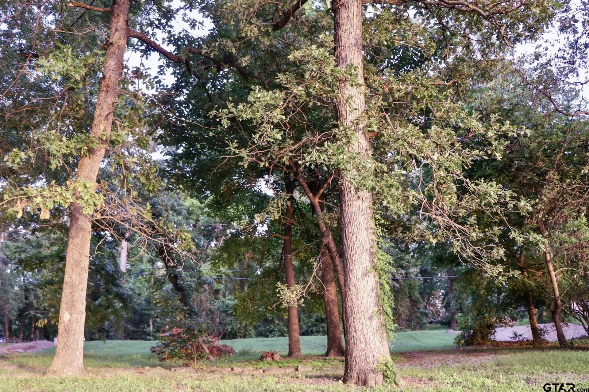 0.25 acres in Smith County featured view