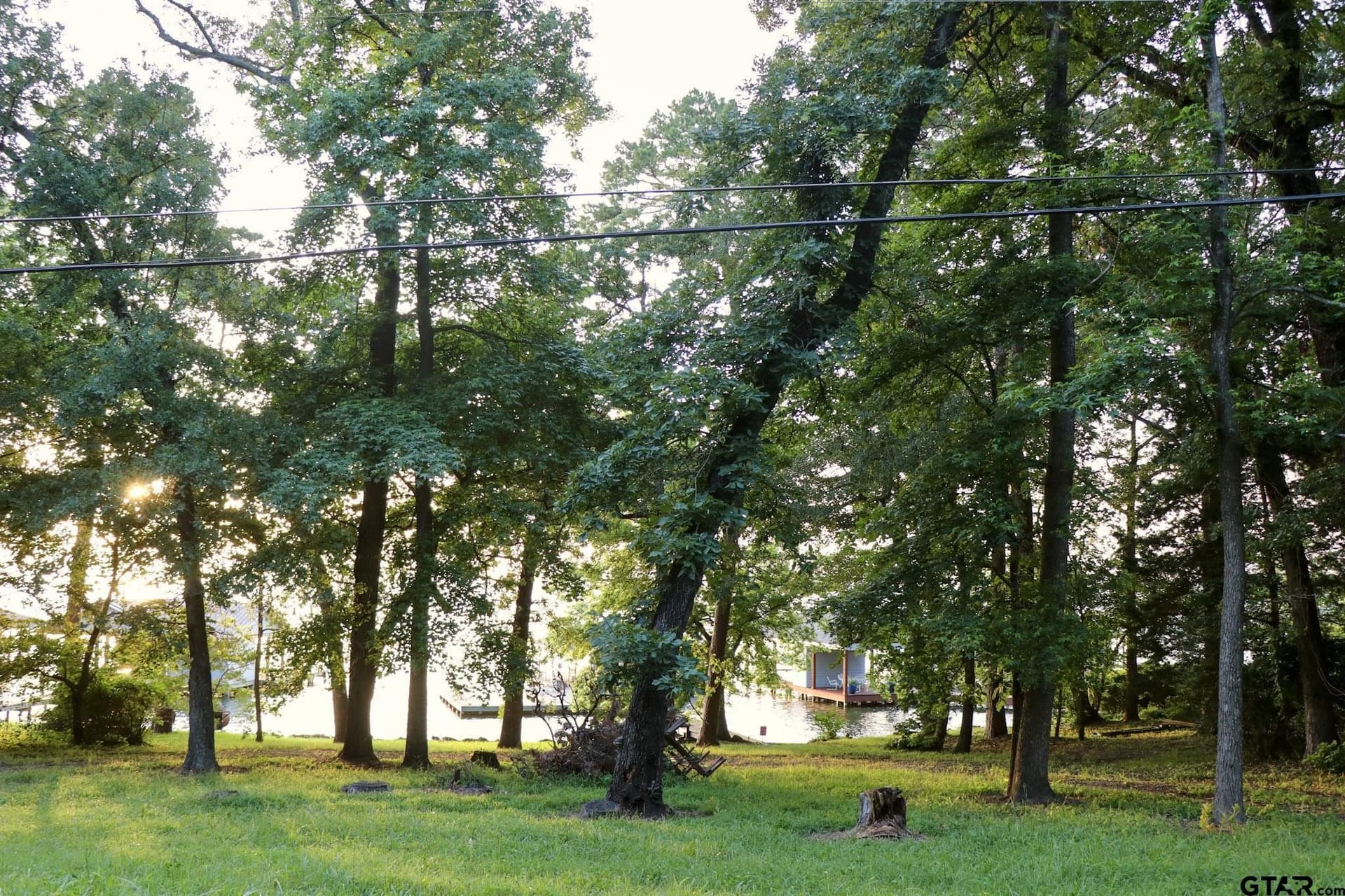 0.25 acres in Smith County gallery image 4