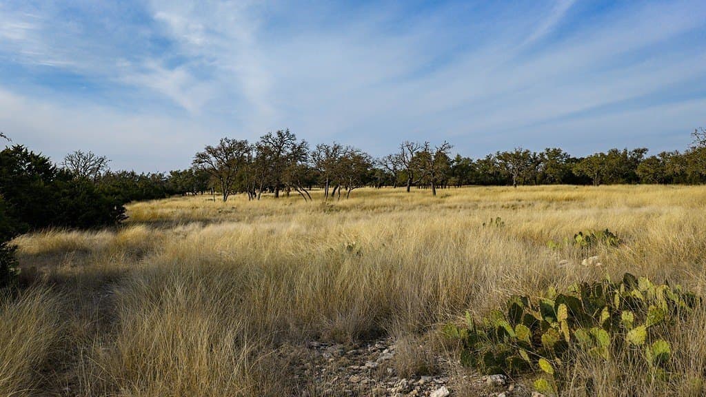 128.44 acres in Kerr County - photo 21