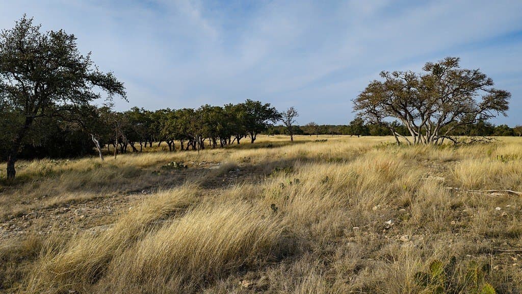 128.44 acres in Kerr County - photo 22