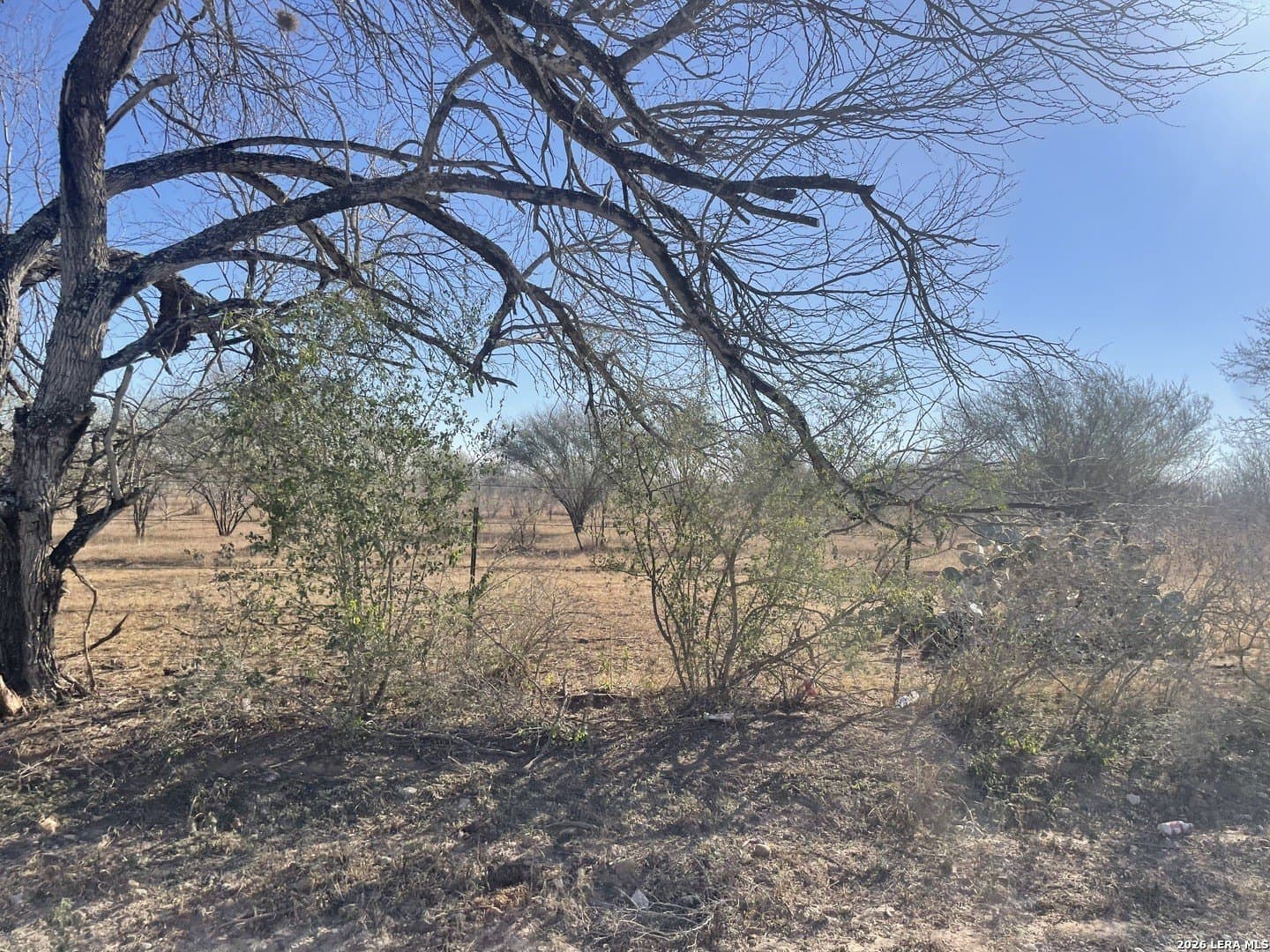 5 acres in Atascosa County - photo 4