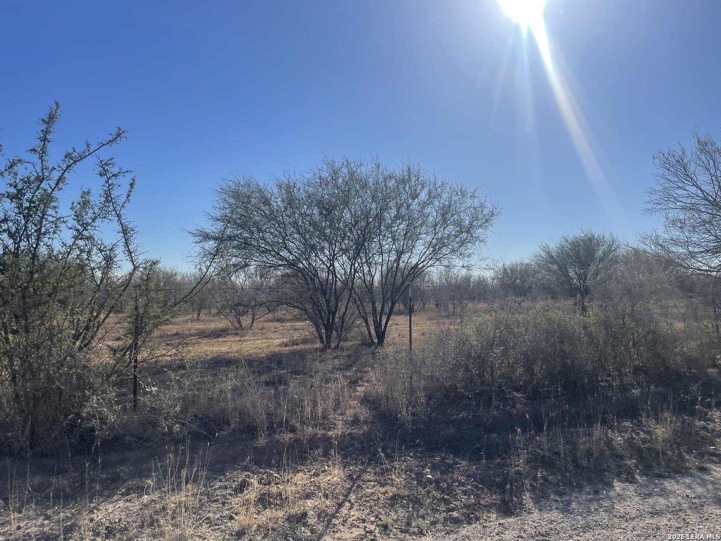 5 acres in Atascosa County - photo 2