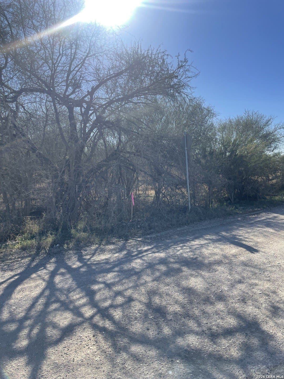 5 acres in Atascosa County - photo 10