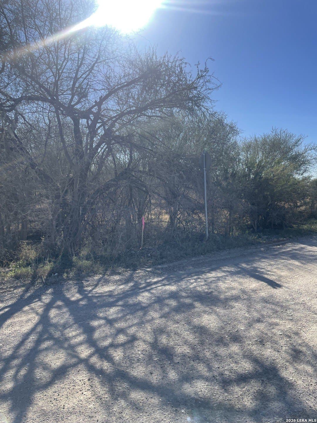 5 acres in Atascosa County - photo 9