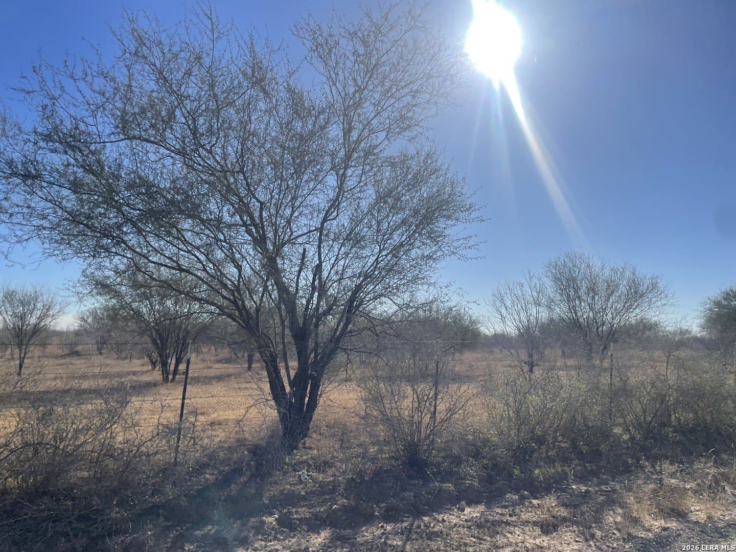 5 acres in Atascosa County - photo 3