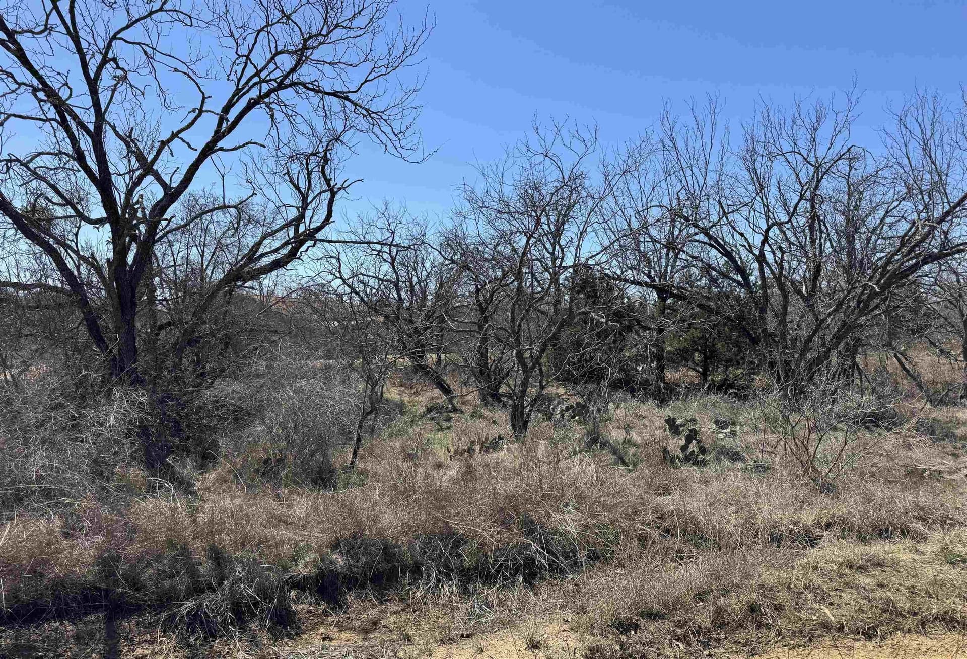 0.28 acres in Llano County gallery image 2
