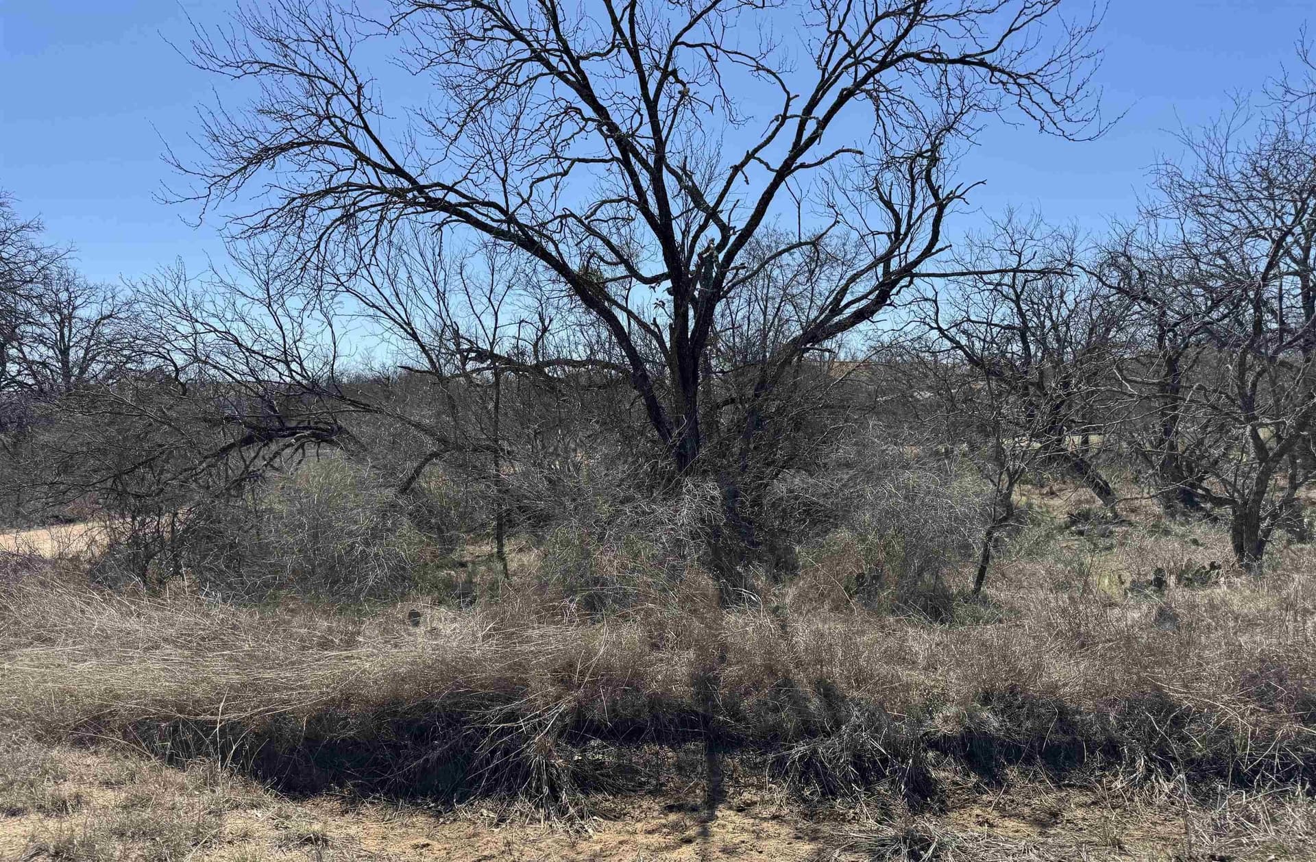 0.28 acres in Llano County gallery image 3