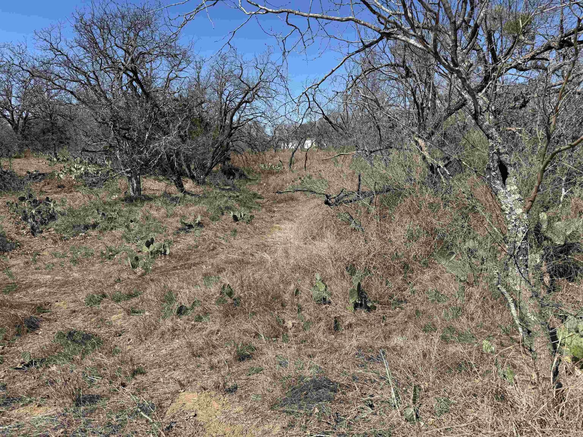 0.28 acres in Llano County featured view