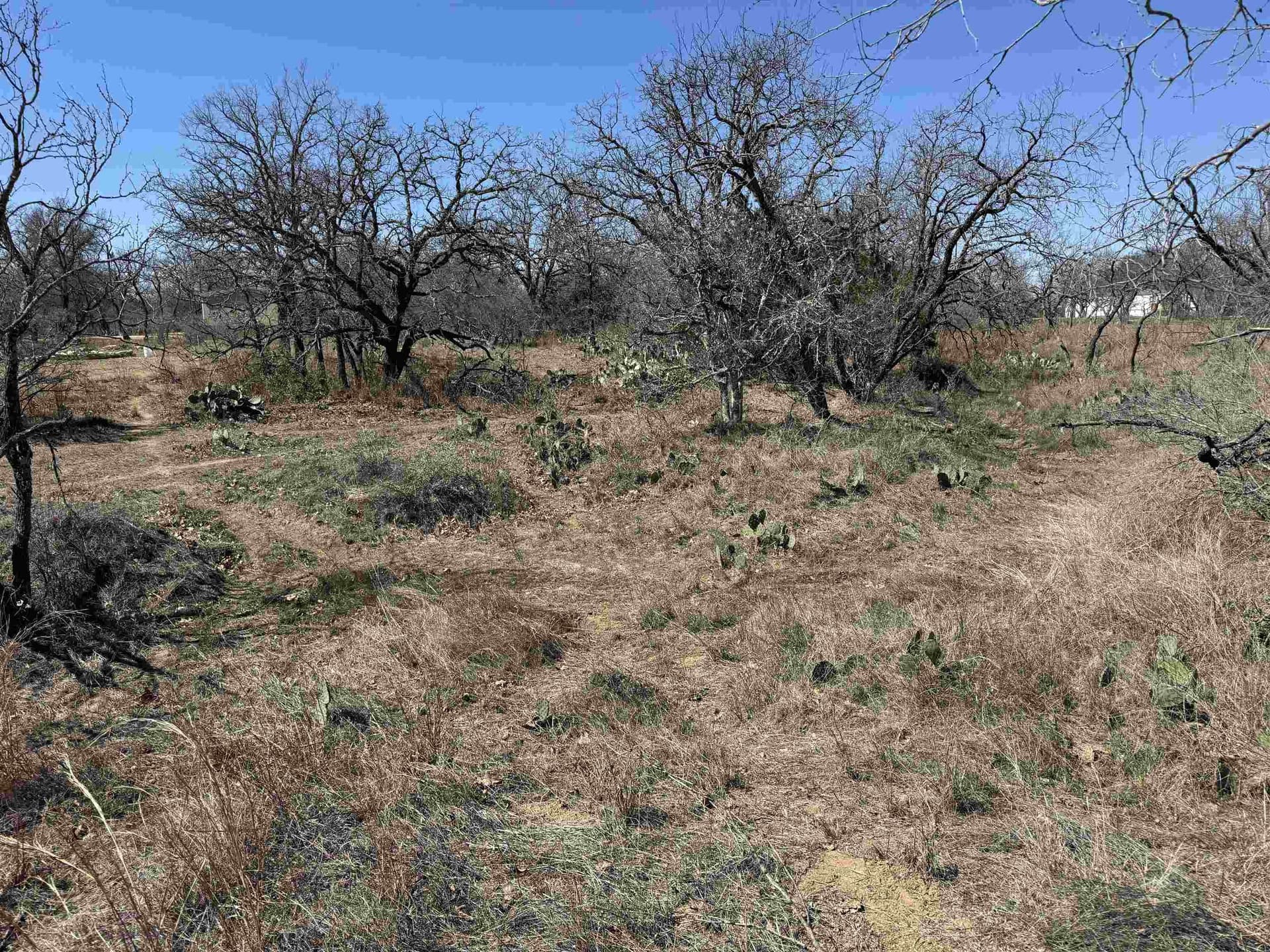 0.28 acres in Llano County gallery image 4