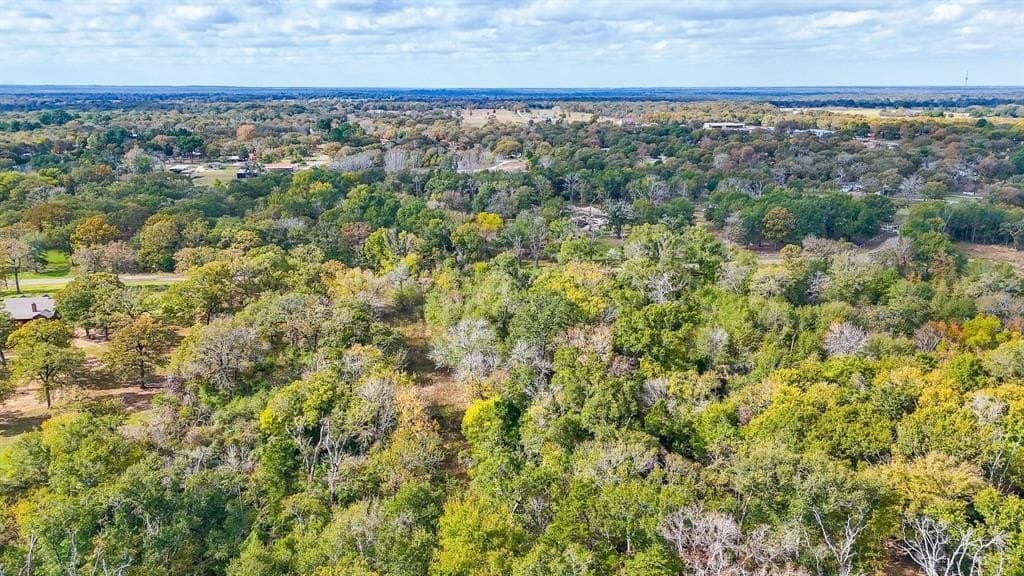 10.03 acres in Freestone County gallery image 3