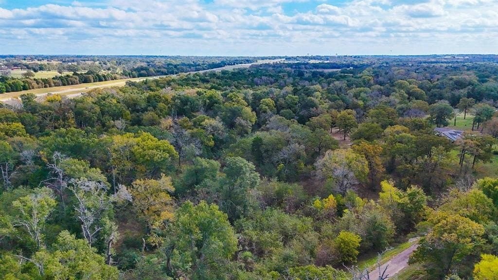 10.03 acres in Freestone County gallery image 4
